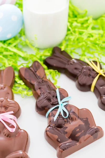 Chocolate bunnies — Stock Photo, Image