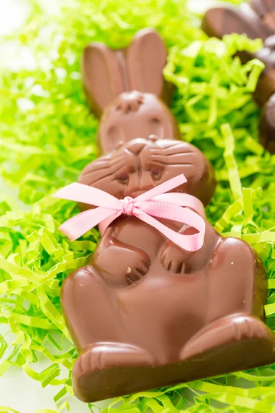 Zajączki z czekolady — Zdjęcie stockowe