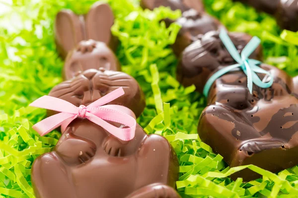 초콜릿 토끼 — 스톡 사진