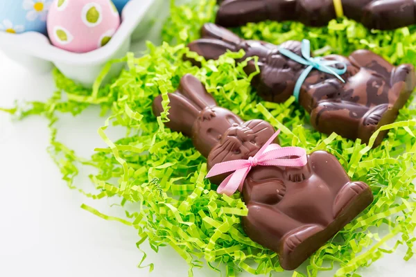 Chocolate bunnies — Stock Photo, Image