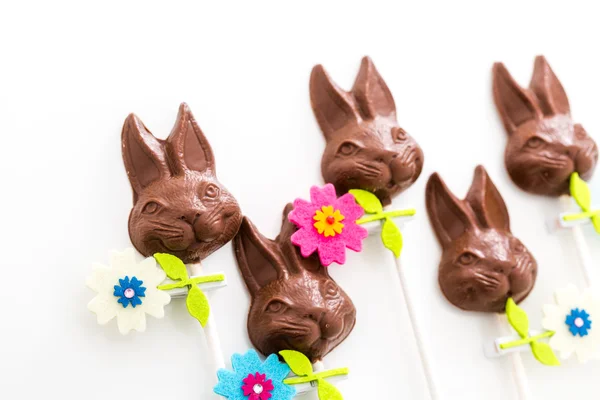 Chocolate bunnies — Stock Photo, Image