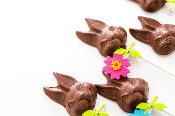 Chocolate bunnies — Stock Photo, Image