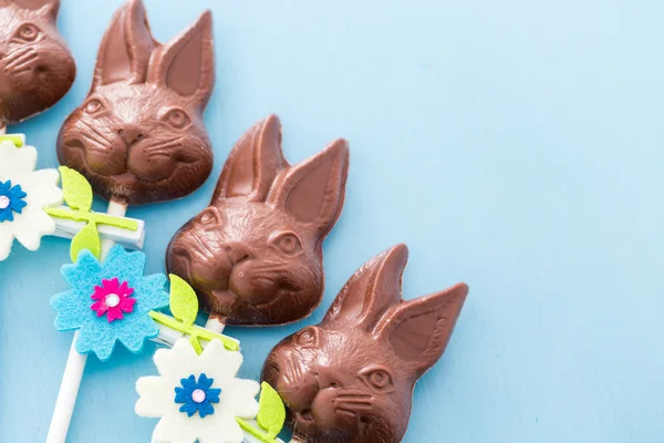 Chocolate bunnies — Stock Photo, Image