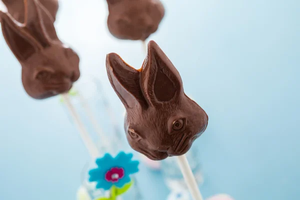 Chocolate bunnies — Stock Photo, Image