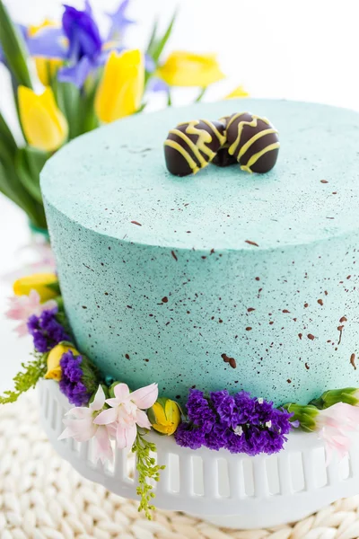 Robins egg cake — Stock Photo, Image