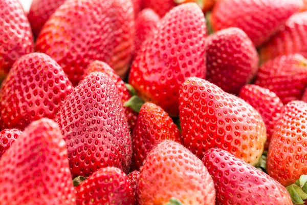 Erdbeeren — Stockfoto