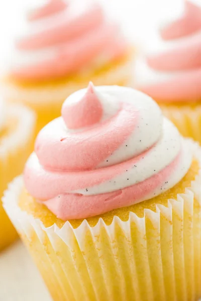 Vanille-Cupcakes — Stockfoto