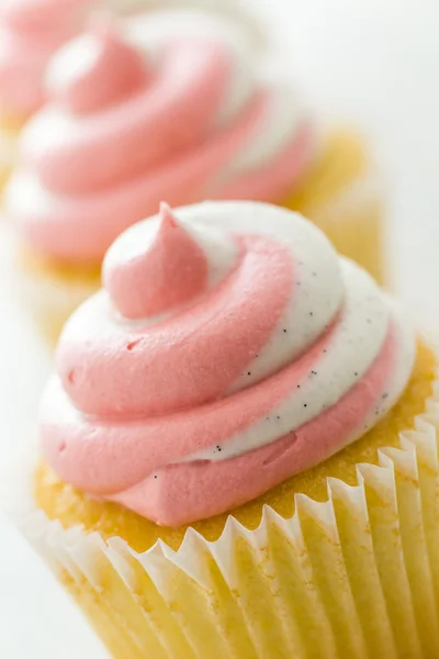 Vanille-Cupcakes — Stockfoto