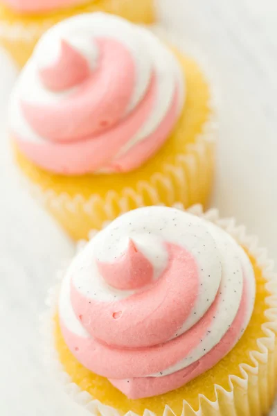 Vanille-Cupcakes — Stockfoto