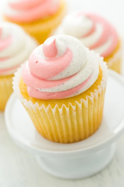 Vanille-Cupcakes — Stockfoto