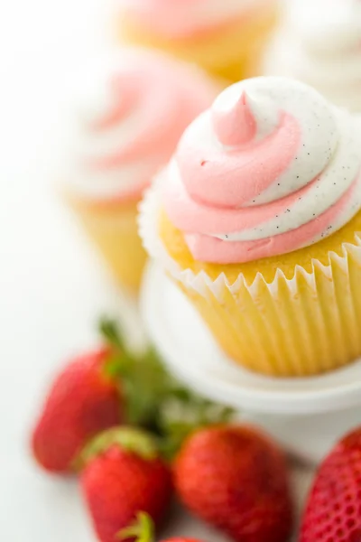 Vanille-Cupcakes — Stockfoto