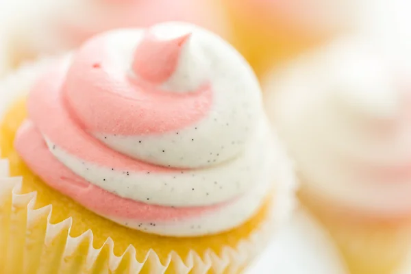 Vanille-Cupcakes — Stockfoto