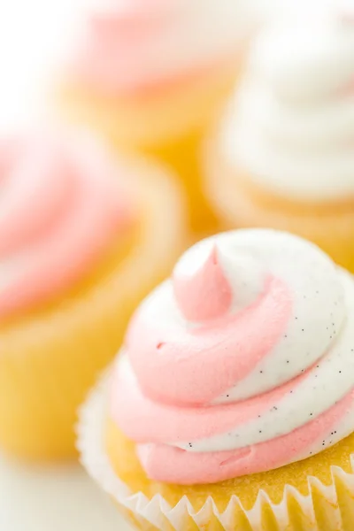 Vanille cupcakes — Stockfoto