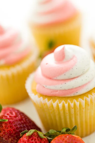 Vanille-Cupcakes — Stockfoto
