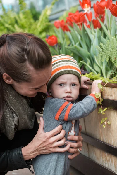 Young family — Stock Photo, Image