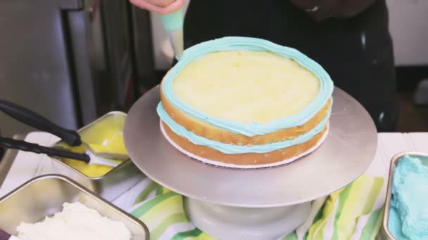 Robins egg cake — Stock Video