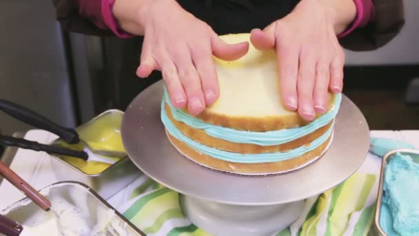 울새 계란 케이크 — 비디오