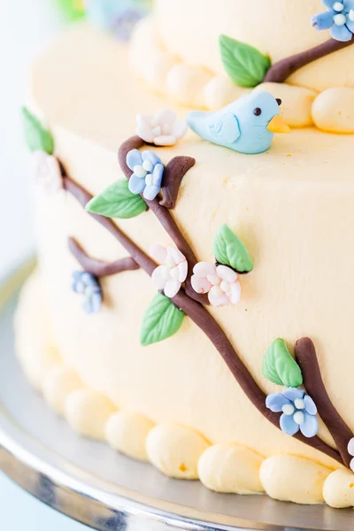 Tavaszi torta — Stock Fotó