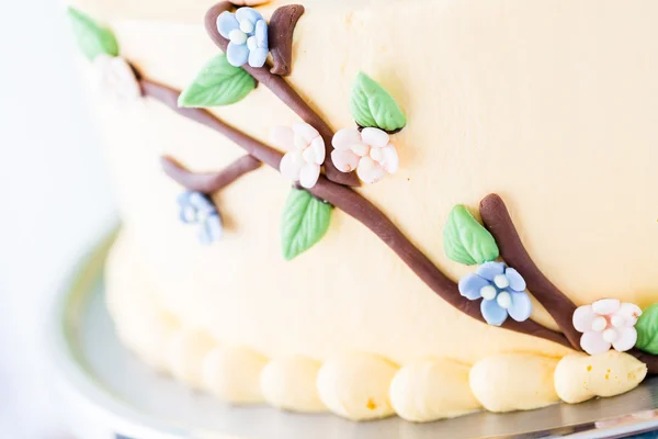 春のケーキ — ストック写真