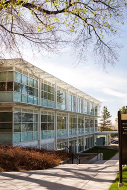 Üniversite Kampüsü