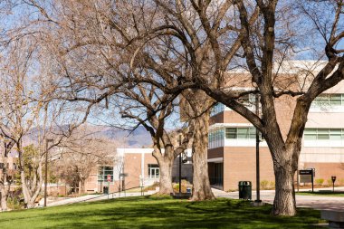 Üniversite Kampüsü