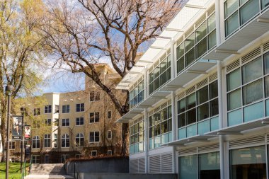 Üniversite Kampüsü