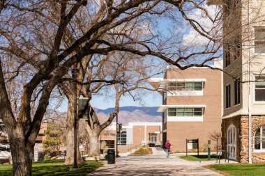 Üniversite Kampüsü