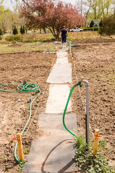 Community garden — Stock Photo, Image