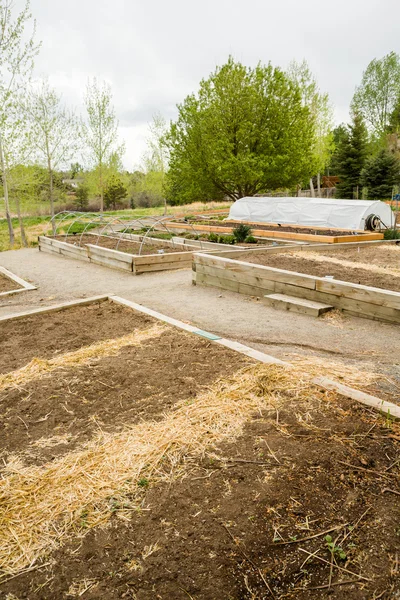 Urban garden — Stock Photo, Image