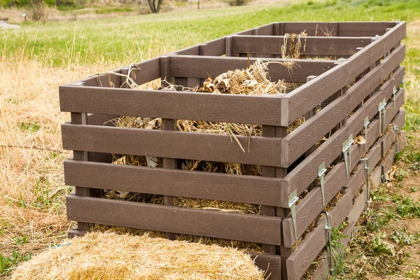 Urban garden — Stock Photo, Image