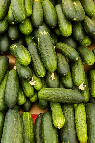 Mercado de agricultores — Foto de Stock