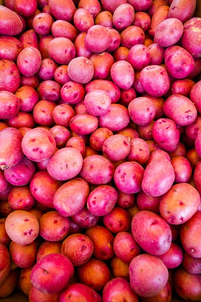 Mercado de agricultores — Foto de Stock