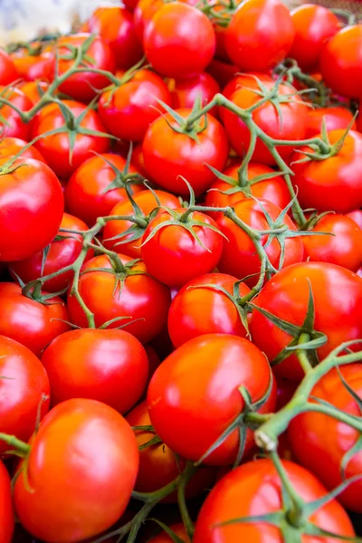 Marché des agriculteurs — Photo