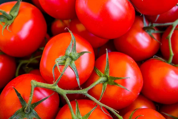 Marché des agriculteurs — Photo