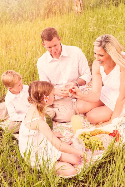 Familie på sommerpiknik – stockfoto