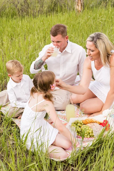 Family on summer picnic — Stock Photo, Image