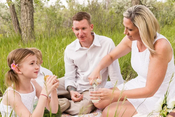 Сім'я на літньому пікніку — стокове фото