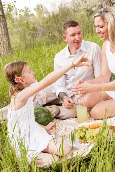 Family on summer picnic — Stock Photo, Image