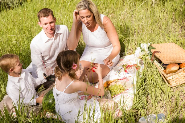 Rodina na letní piknik — Stock fotografie