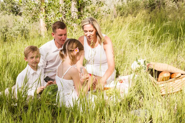Familjen på sommar picknick — Stockfoto