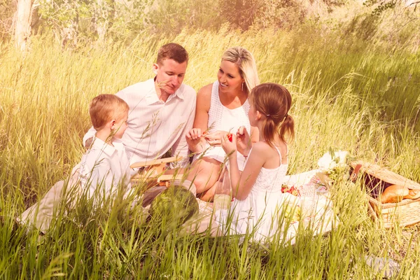 Family on summer picnic — Stock Photo, Image