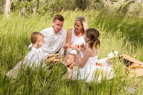 Familie beim Sommerpicknick — Stockfoto