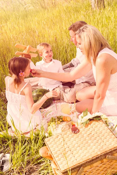 Family on summer picnic — Stock Photo, Image