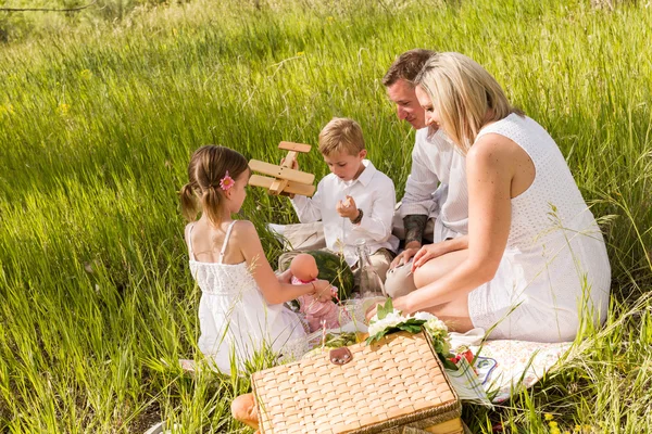 Family on summer picnic — Stock Photo, Image