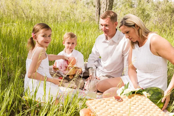 Familie beim Sommerpicknick — Stockfoto