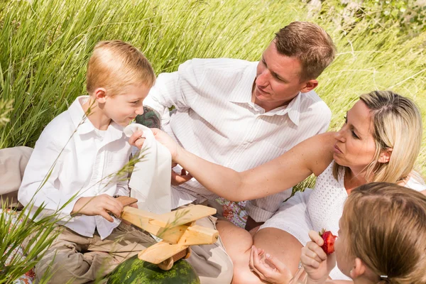 Familie på sommerpiknik – stockfoto