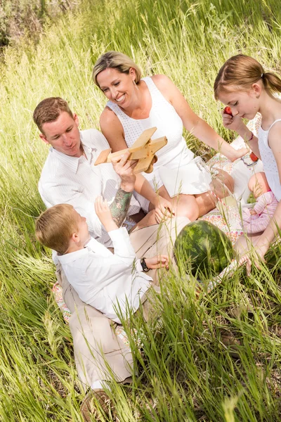 Familia en el picnic de verano —  Fotos de Stock