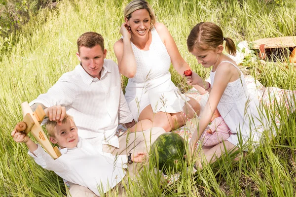 Family on summer picnic — Stock Photo, Image