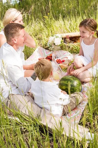 Familia en el picnic de verano — Foto de Stock