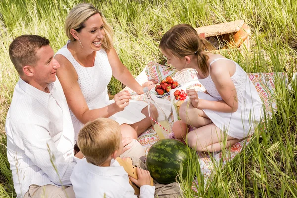 Famiglia su picnic estivo — Foto Stock